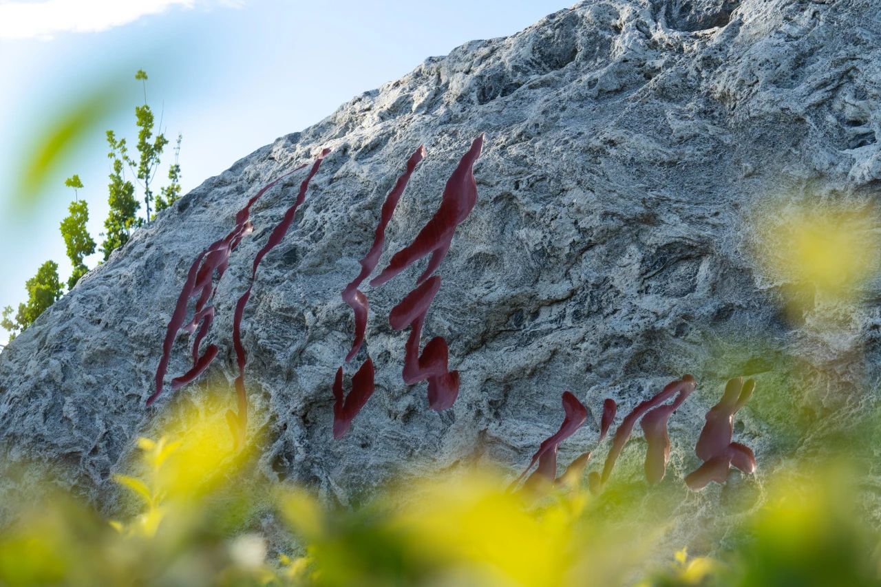 william威廉中文官网